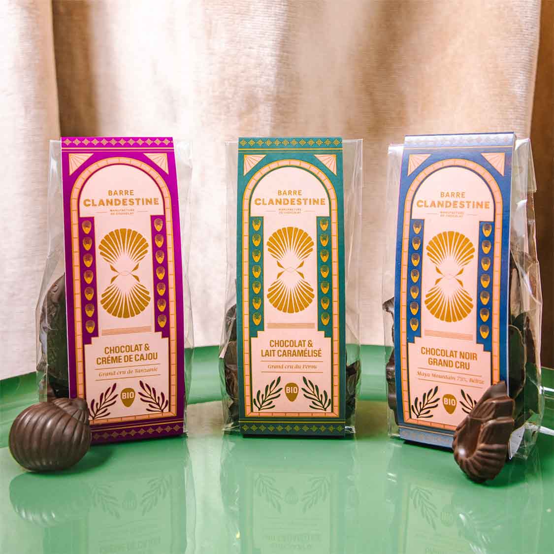 Lot de 3 coquillages