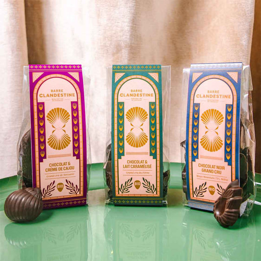 Lot de 3 coquillages