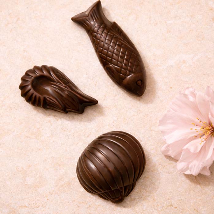 Coquillages - Chocolat et cajou