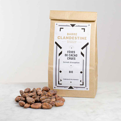 Fèves de cacao crues