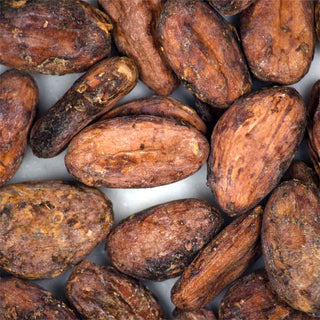 Fèves de cacao