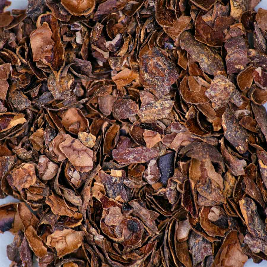 infusion cacao