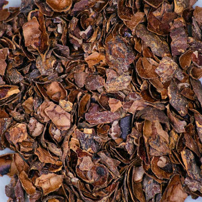 infusion cacao