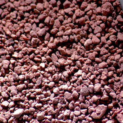 Chocolat râpé